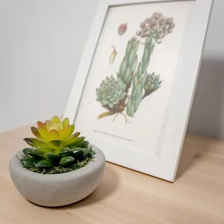 Charming And Modern 3-bedroom Duplex In Aloha Pueblo With Mountain Views Tatil Evi *